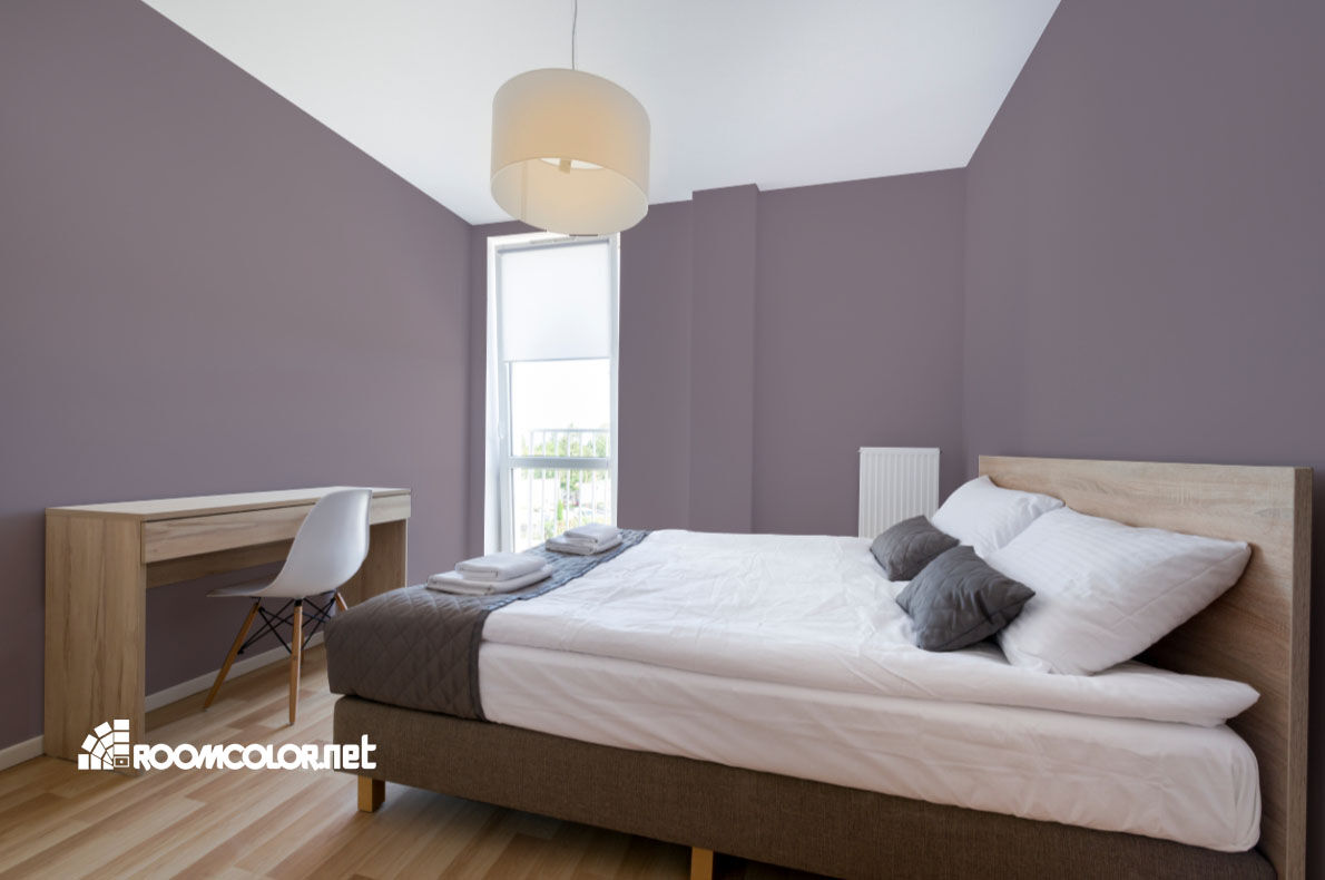 Dulux 11RR 29/068