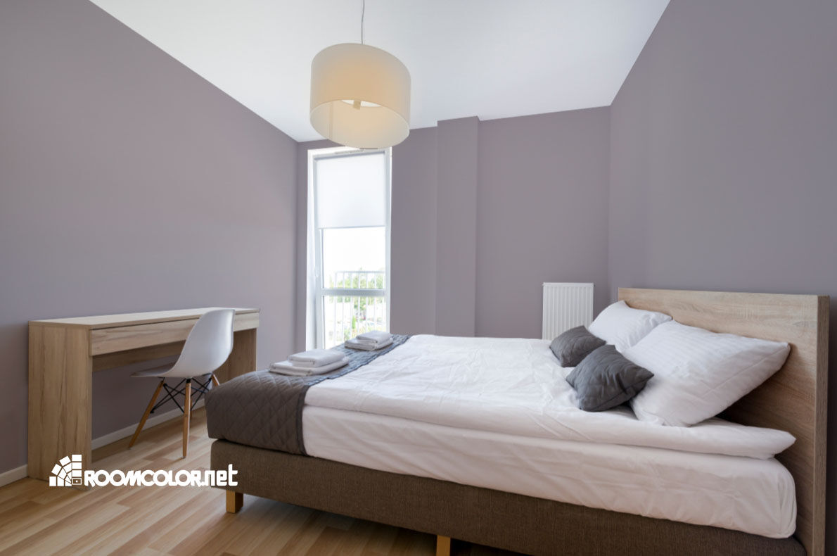 Dulux 11RR 43/050