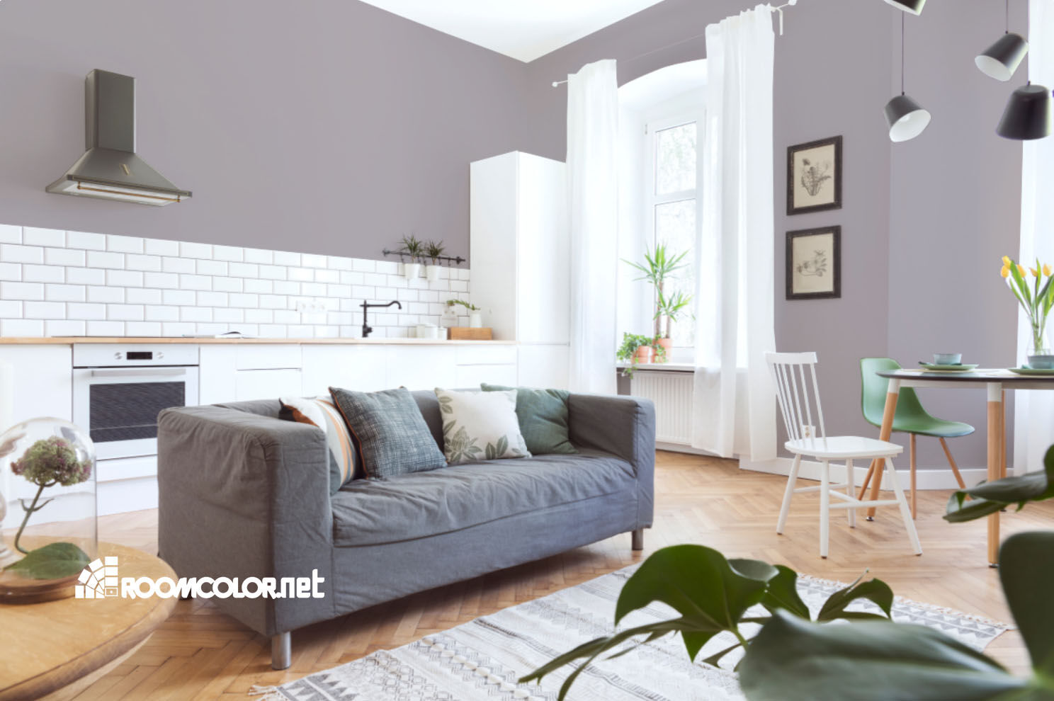 Dulux 11RR 43/050
