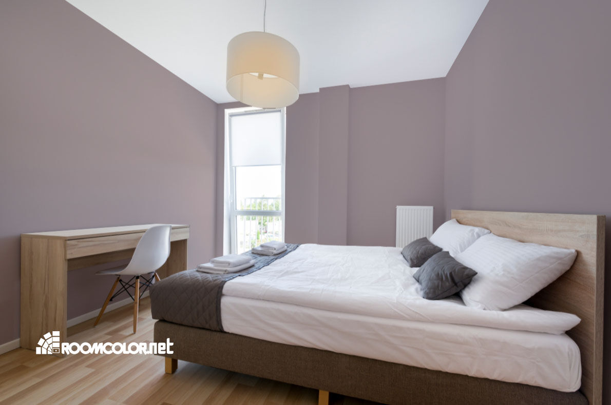Dulux 70RR 41/065