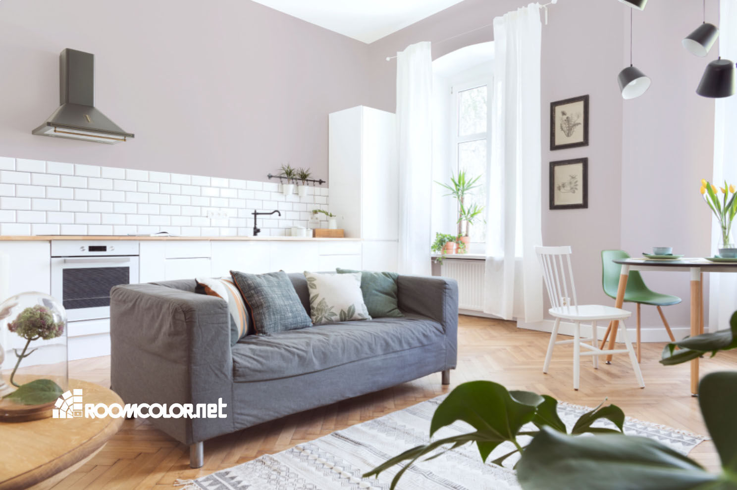 Dulux 67RR 66/044