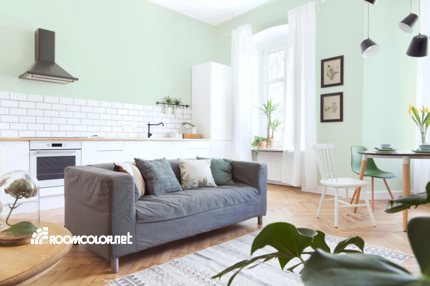 Caparol Agave 120