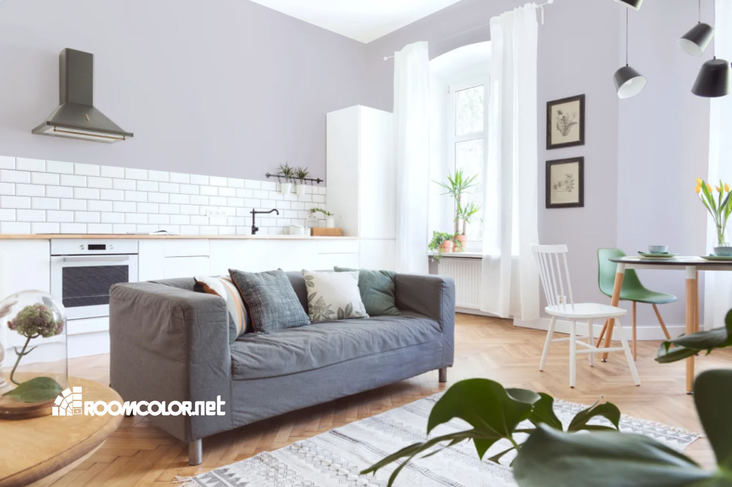 Caparol Velvet 60
