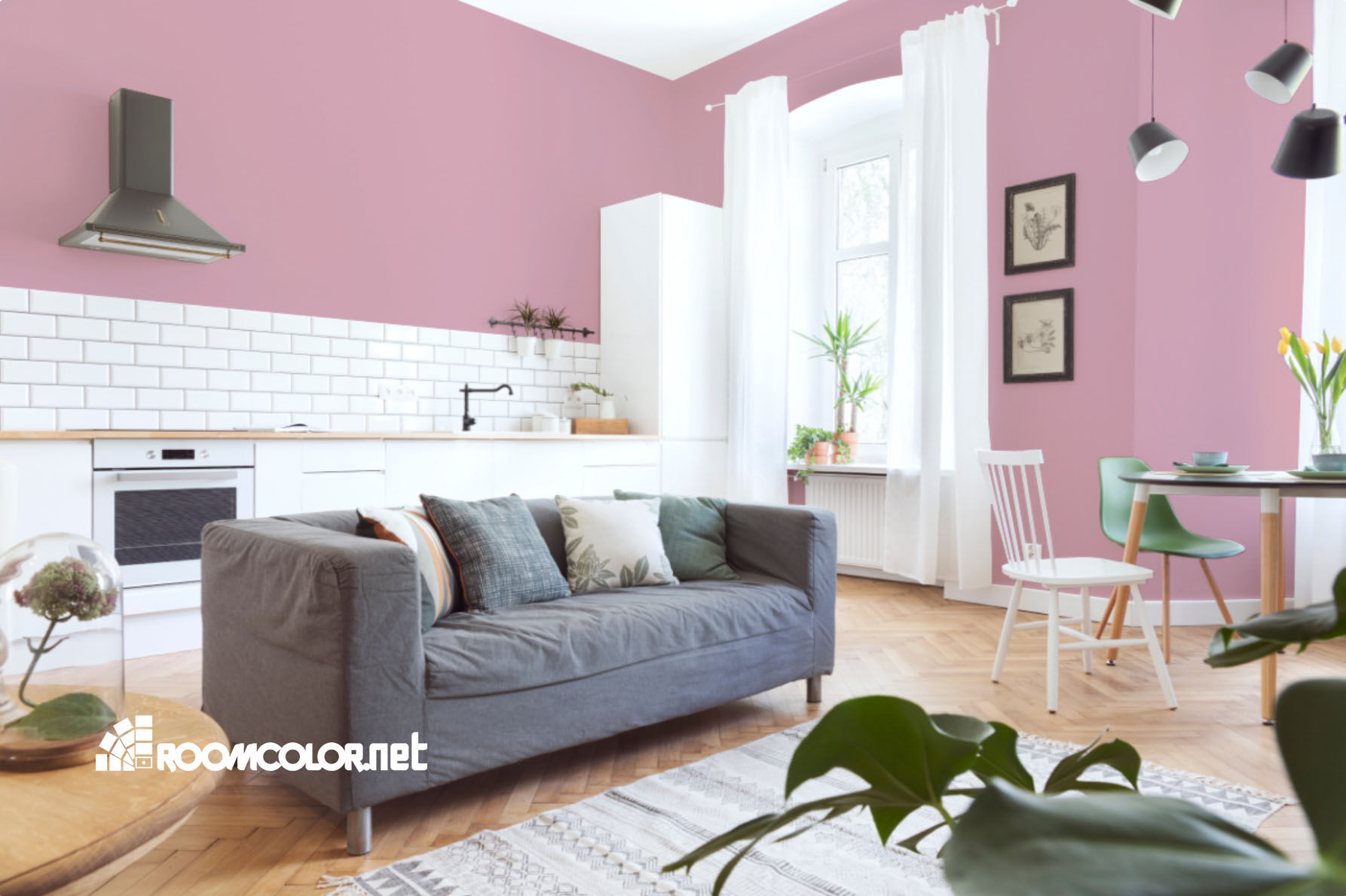 Dulux 50RR 49/195
