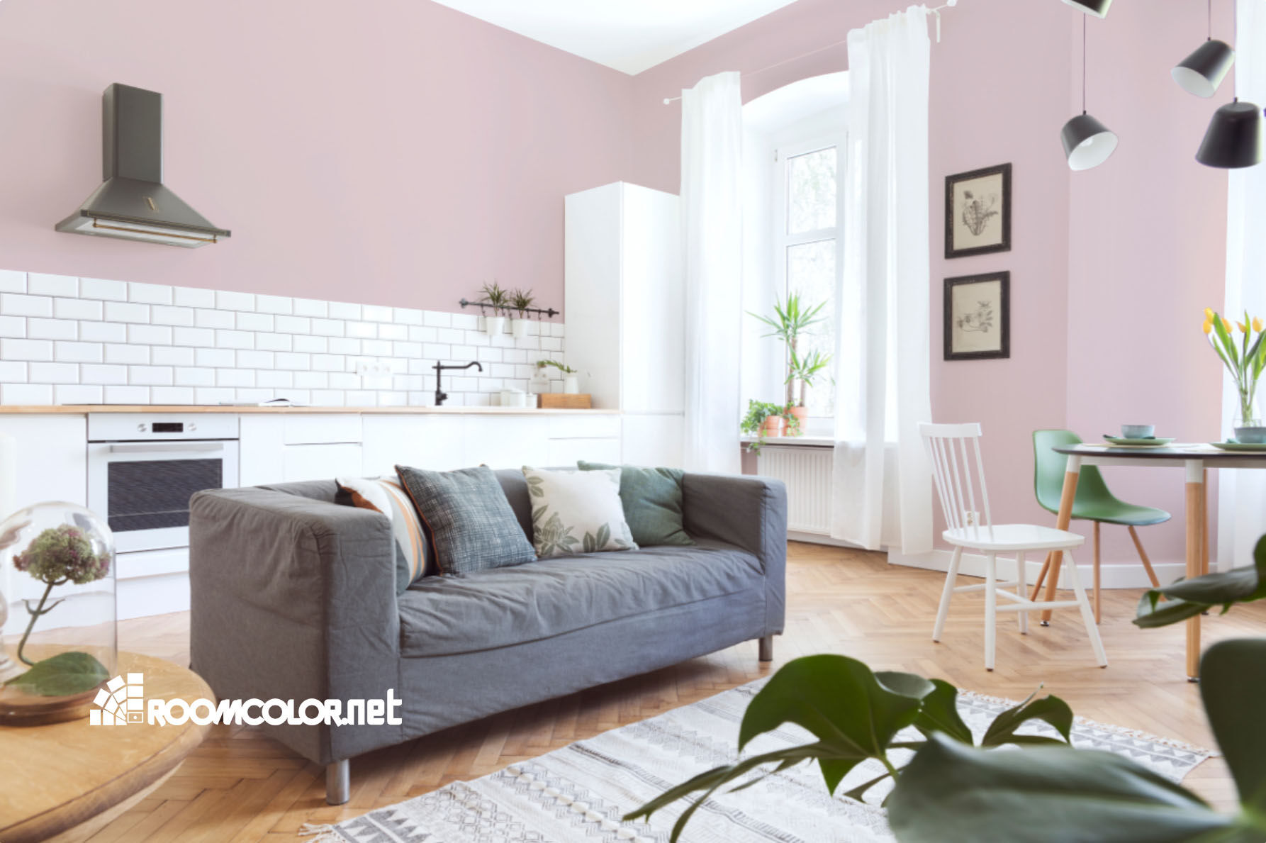 Dulux 66RR 67/091