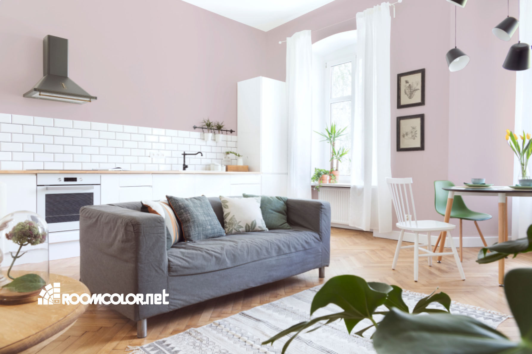 Dulux 70RR 66/072